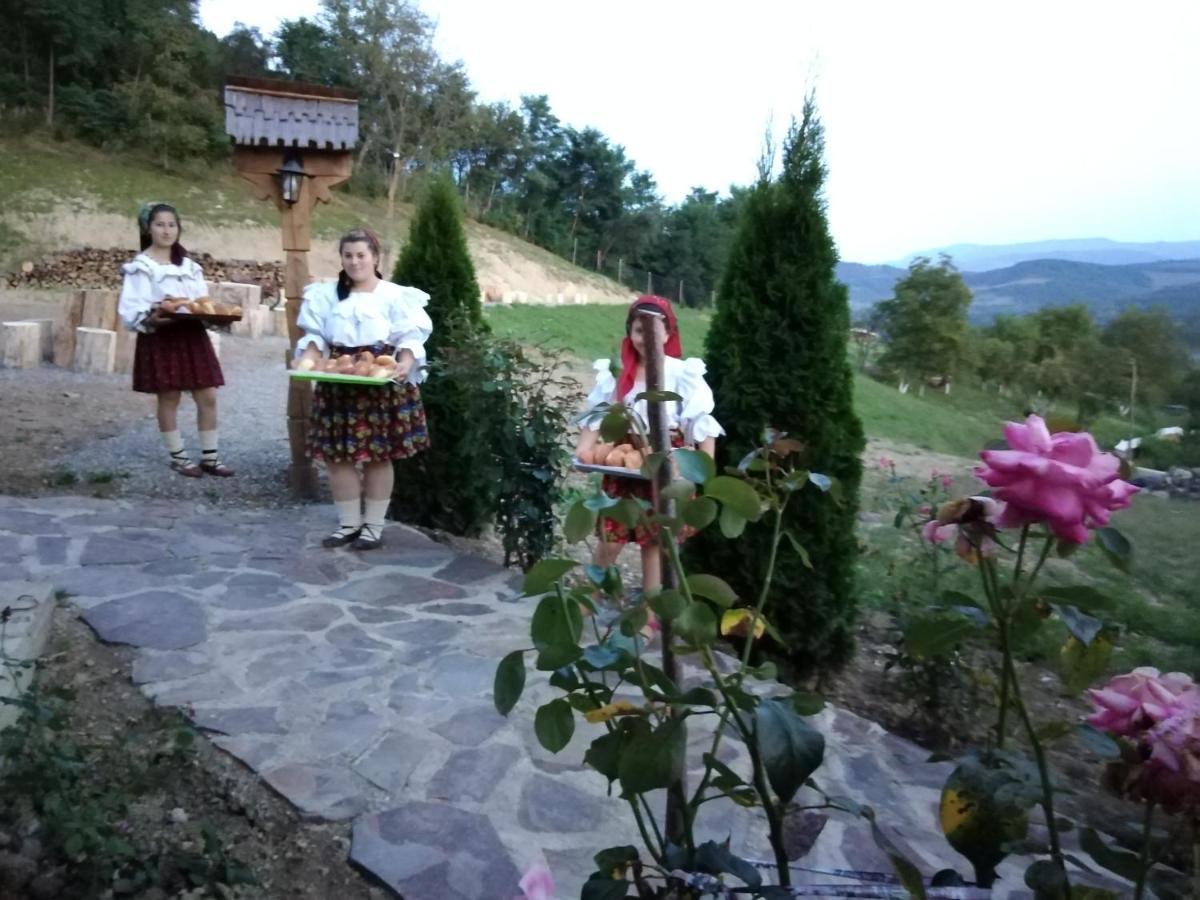 Pensiunea Valea Branzei Nanesti Exterior foto
