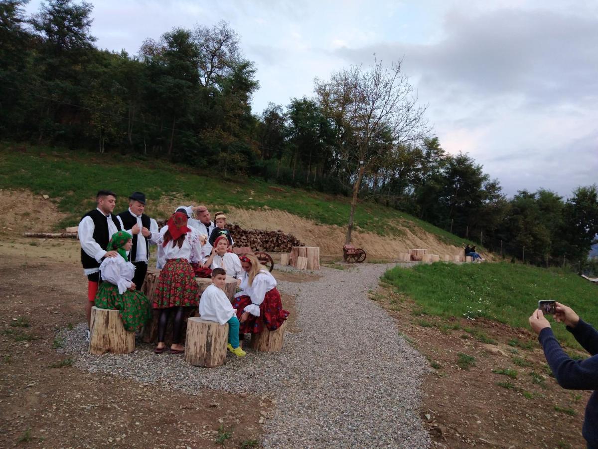 Pensiunea Valea Branzei Nanesti Exterior foto