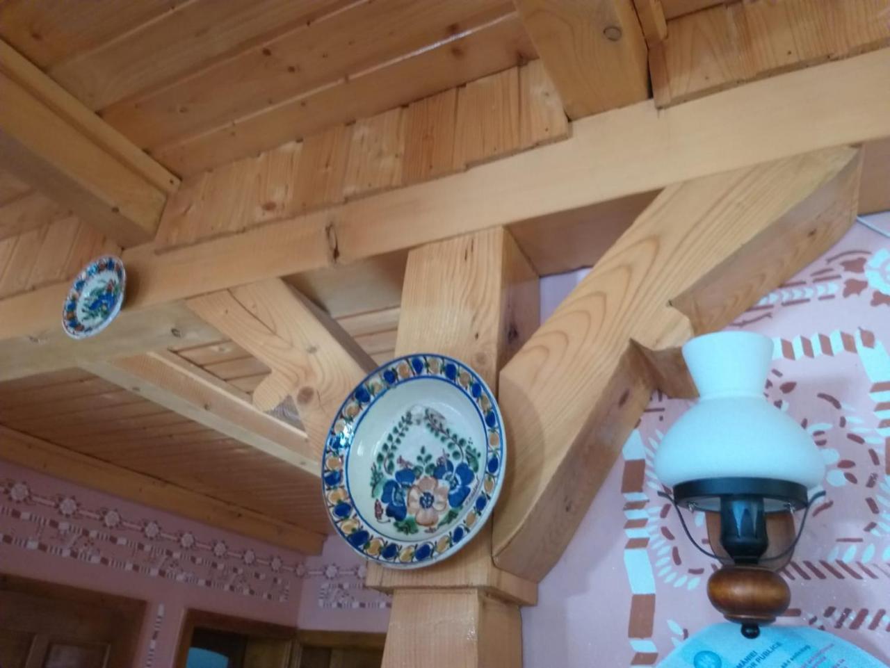 Pensiunea Valea Branzei Nanesti Exterior foto